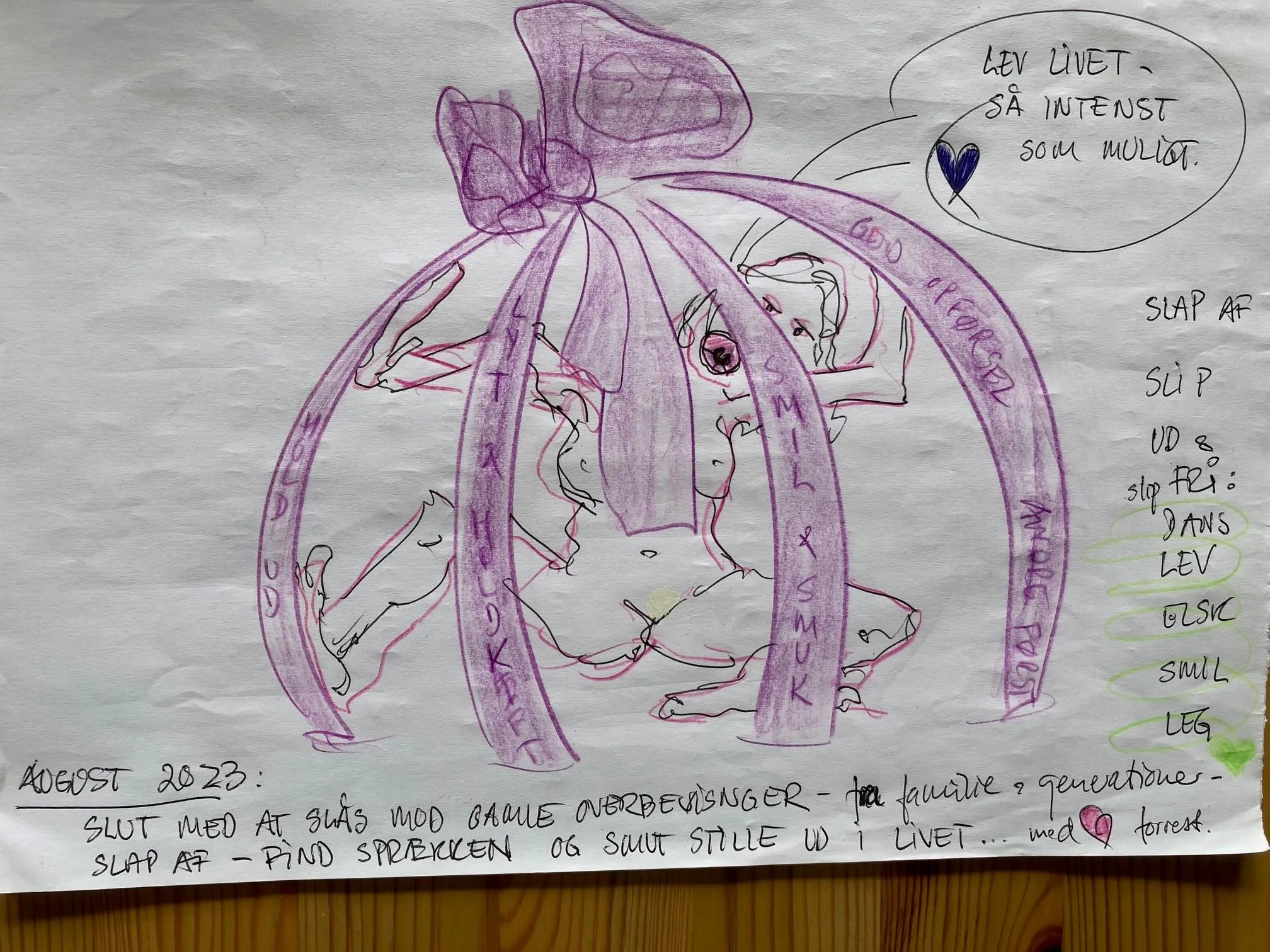 Tagning af menneske i bur og begrænset