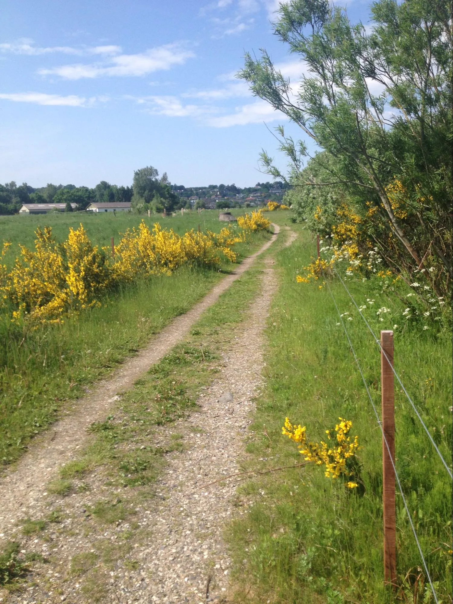 en stig ude på landet