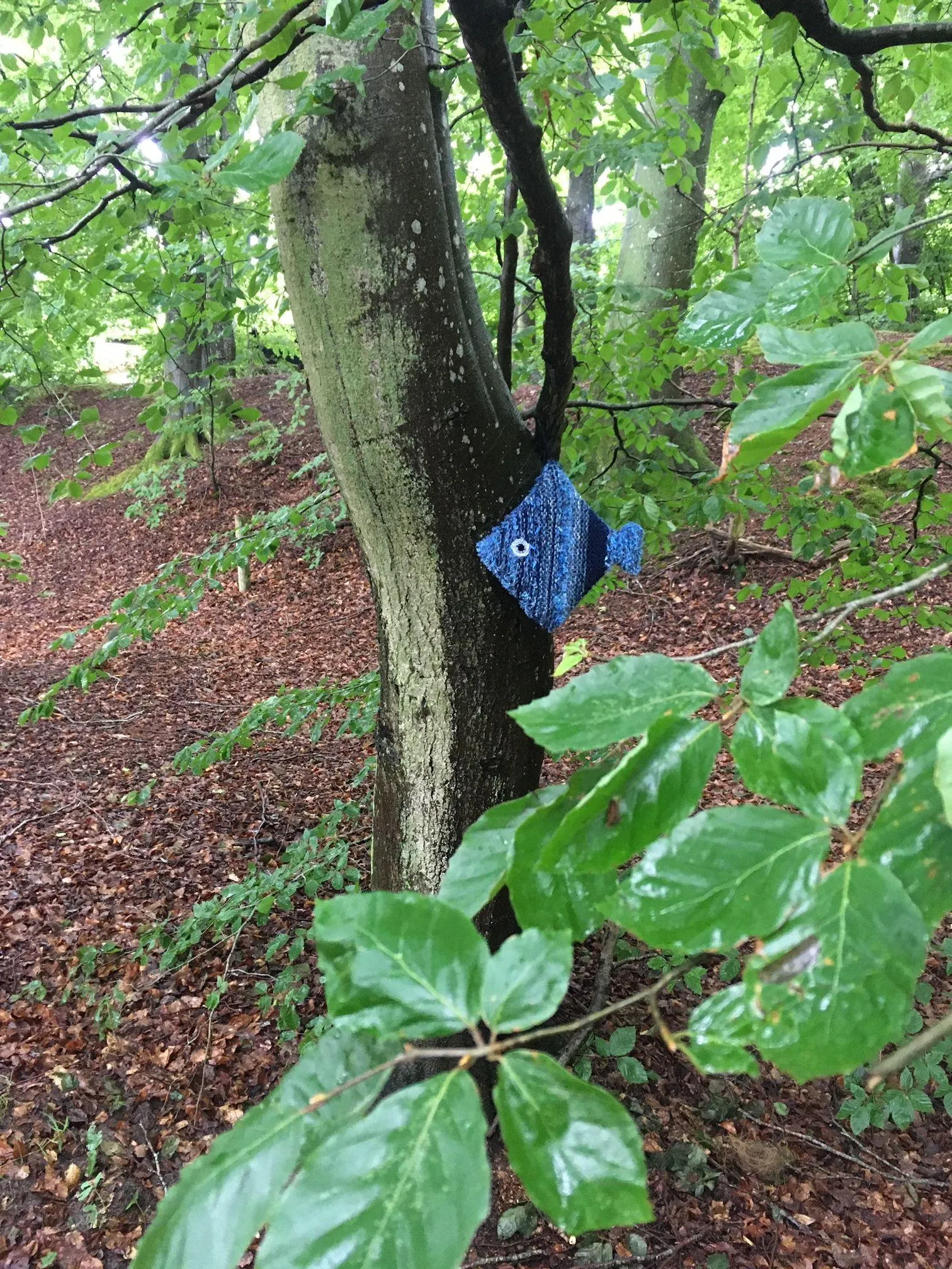 fisk der klatrer i træer